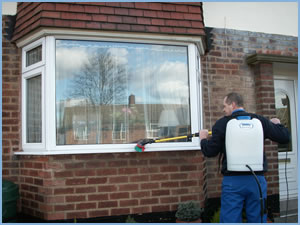 Cleaning Domestic Window Frames